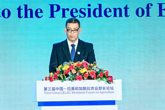会议安排丰富多彩，包括开幕式、主题演讲和闭幕式等多个环节